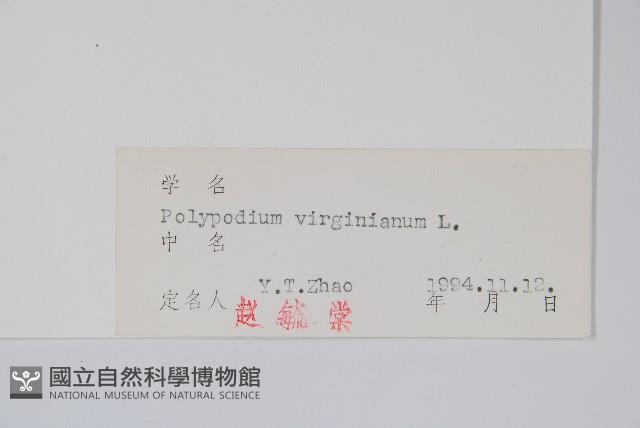 Accession Number:P004021 Collection Image, Figure 2, Total 2 Figures