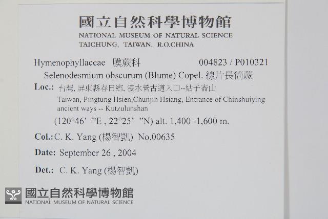 Accession Number:P010321 Collection Image, Figure 2, Total 2 Figures