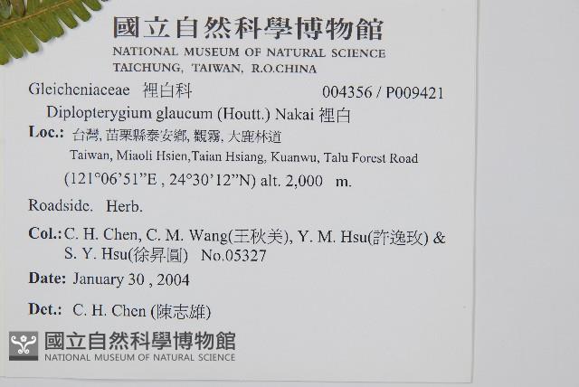 裡白藏品圖，第2張