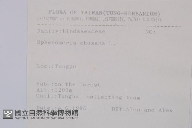 烏蕨藏品圖，第2張