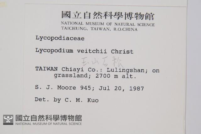 玉山石松藏品圖，第2張