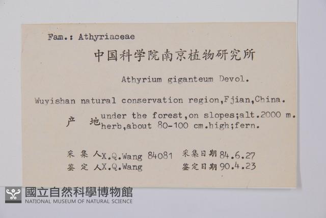 Accession Number:P003421 Collection Image, Figure 2, Total 5 Figures