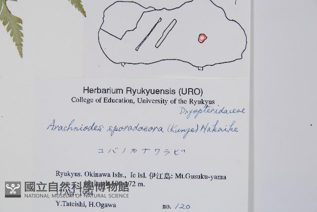 登錄號:P005821藏品圖，第2張