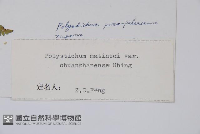 登錄號:P003901藏品圖，第2張