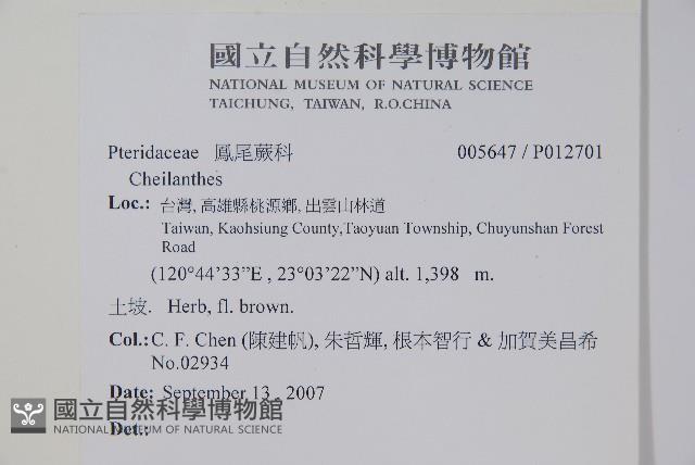 登錄號:P012701藏品圖，第2張