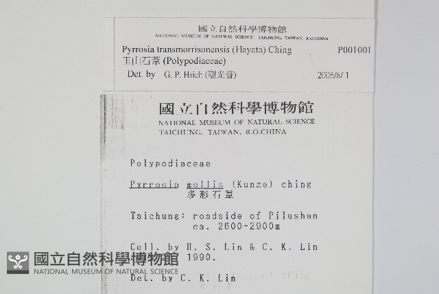 玉山石葦藏品圖，第2張
