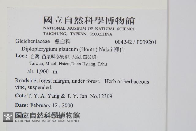 裡白藏品圖，第2張