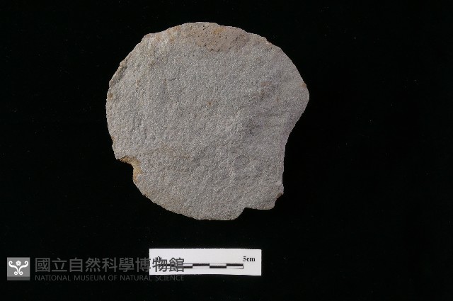 石片器藏品圖，第1張