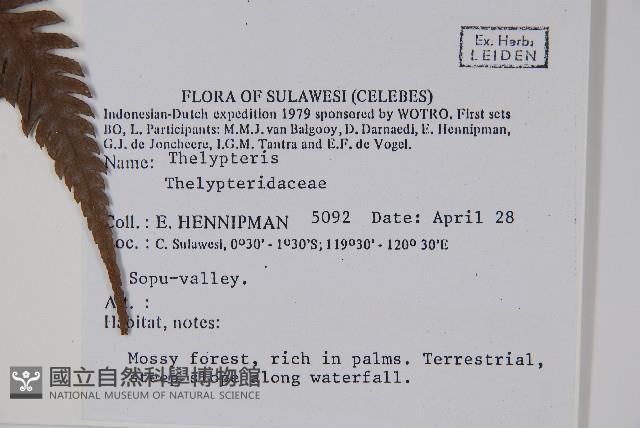 登錄號:P005601藏品圖，第2張