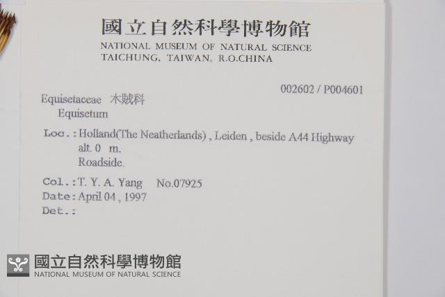 登錄號:P004601藏品圖，第2張