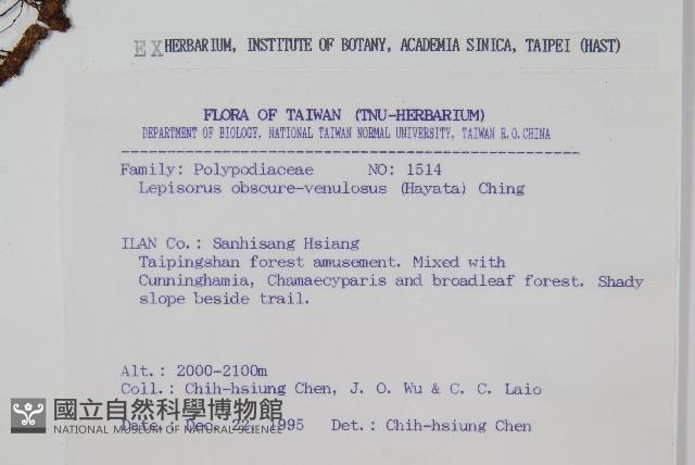 粵瓦葦藏品圖，第2張