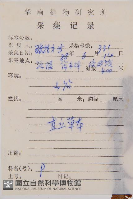 薄蓋短腸蕨藏品圖，第2張