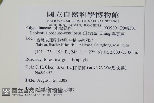 粵瓦葦藏品圖，第2張