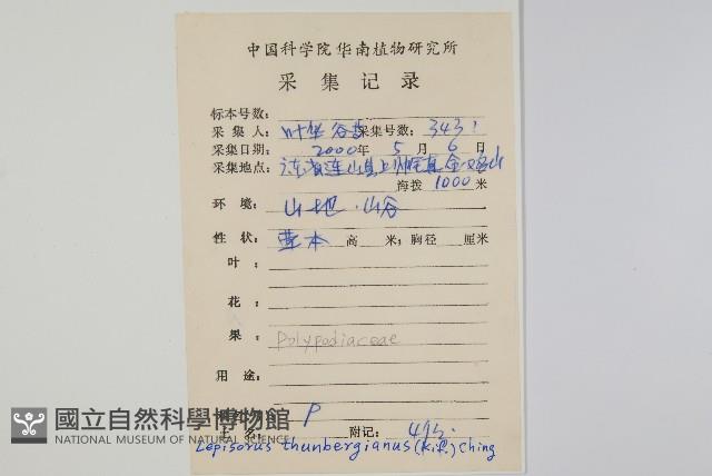 瓦葦藏品圖，第2張