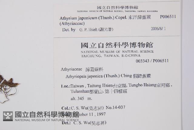 Accession Number:P006511 Collection Image, Figure 2, Total 5 Figures