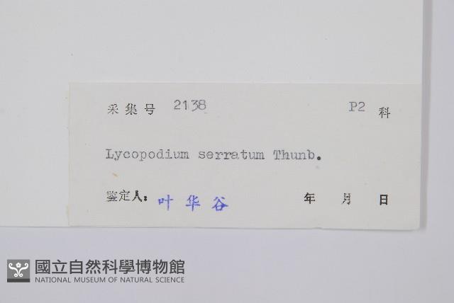 千層塔藏品圖，第2張