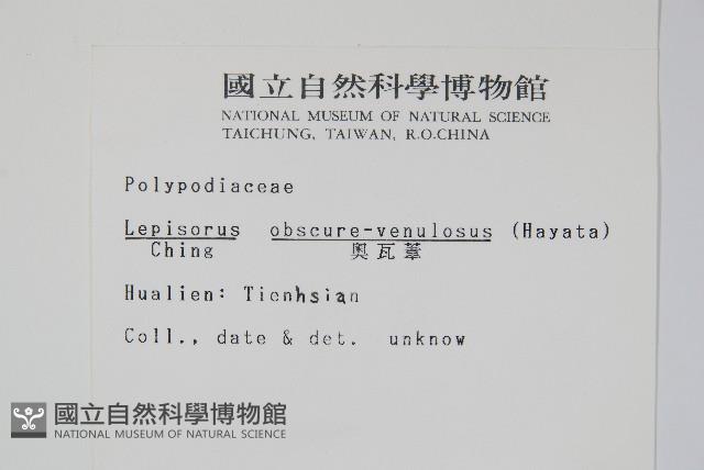 粵瓦葦藏品圖，第2張