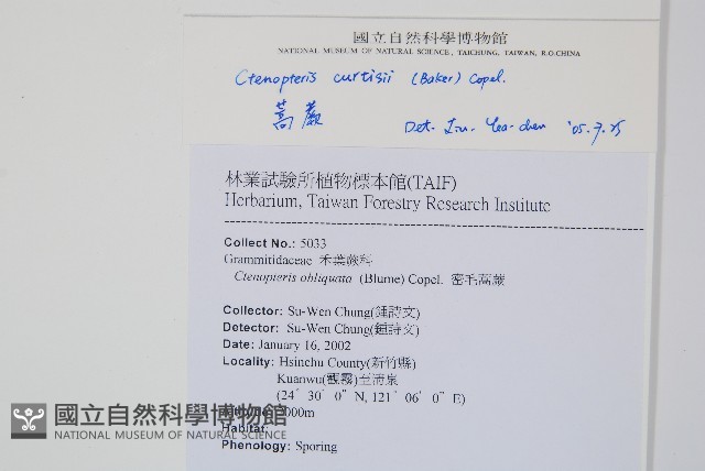 蒿蕨藏品圖，第2張