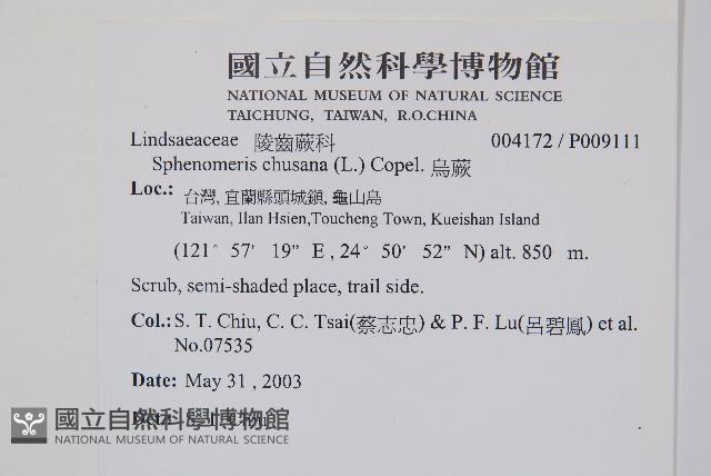 烏蕨藏品圖，第2張