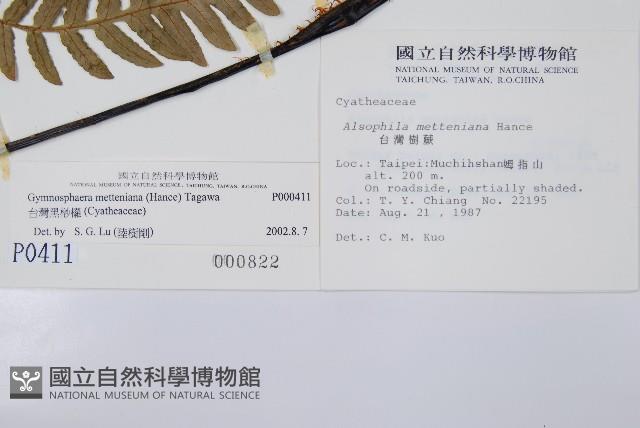 Accession Number:P000411 Collection Image, Figure 2, Total 5 Figures