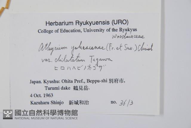 登錄號:P005811藏品圖，第2張