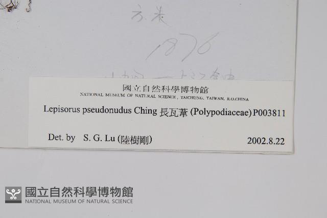 長瓦葦藏品圖，第2張