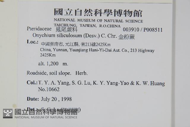 金粉蕨藏品圖，第2張