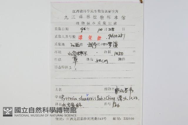 盧山石葦藏品圖，第2張