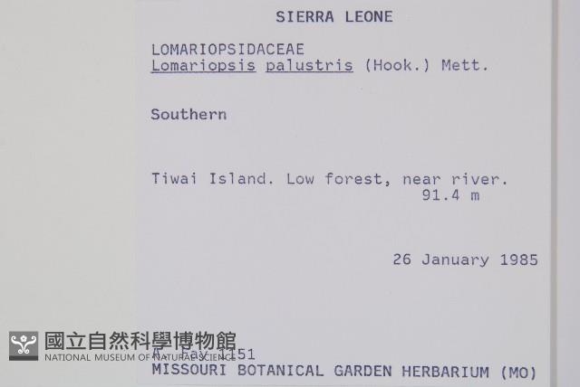 登錄號:P010051藏品圖，第2張