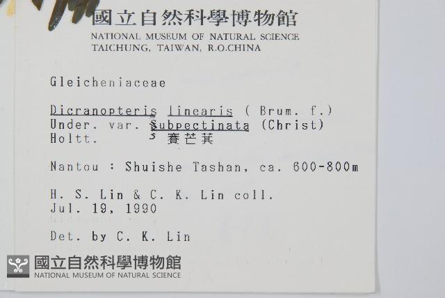 賽芒萁藏品圖，第2張