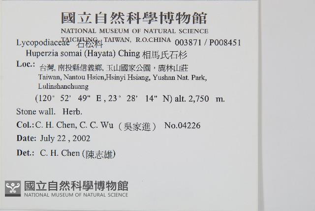 相馬氏石杉藏品圖，第5張