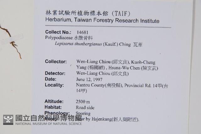 瓦葦藏品圖，第2張