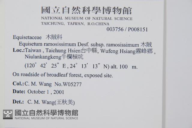 木賊藏品圖，第2張