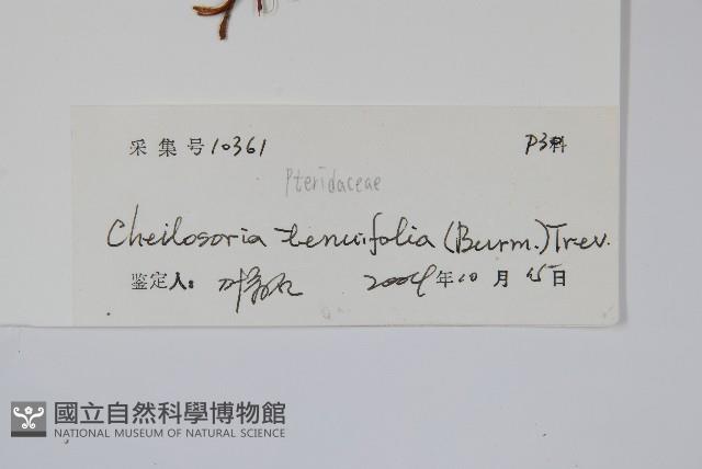 登錄號:P010451藏品圖，第2張