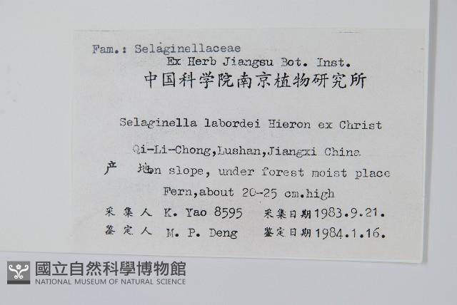 Accession Number:P003451 Collection Image, Figure 2, Total 2 Figures