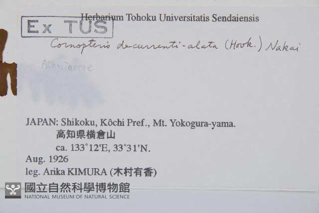 貞蕨藏品圖，第5張