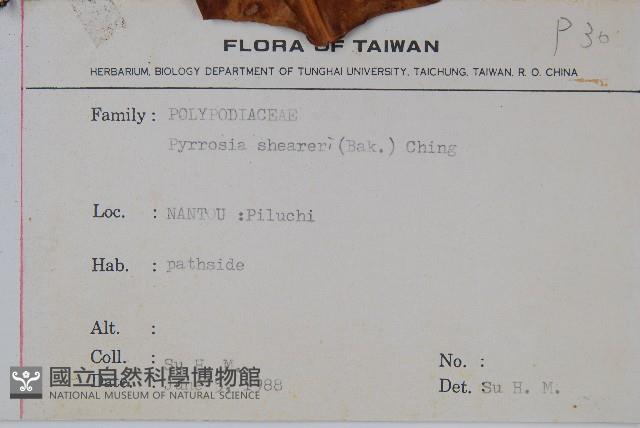 盧山石葦藏品圖，第2張