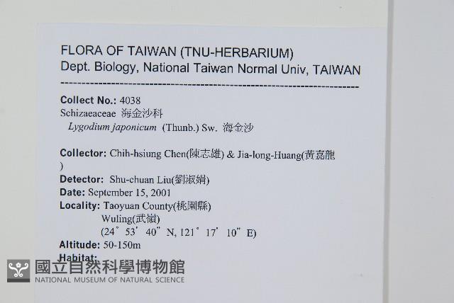 海金沙藏品圖，第2張