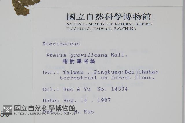 Accession Number:P000791 Collection Image, Figure 2, Total 2 Figures