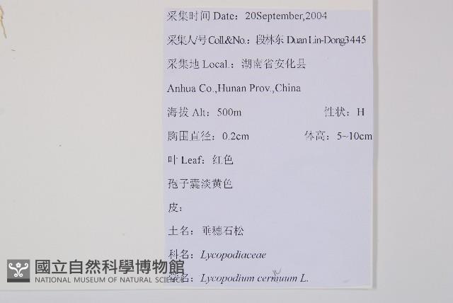 過山龍藏品圖，第2張