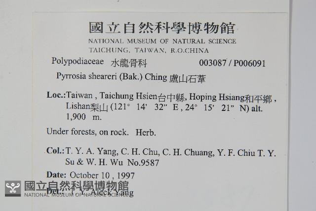 盧山石葦藏品圖，第2張