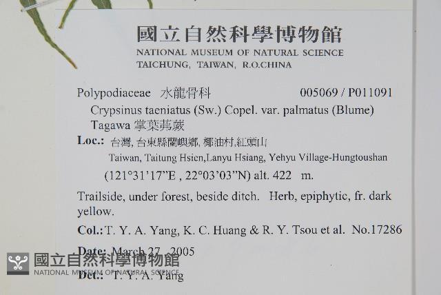 Accession Number:P011091 Collection Image, Figure 2, Total 2 Figures