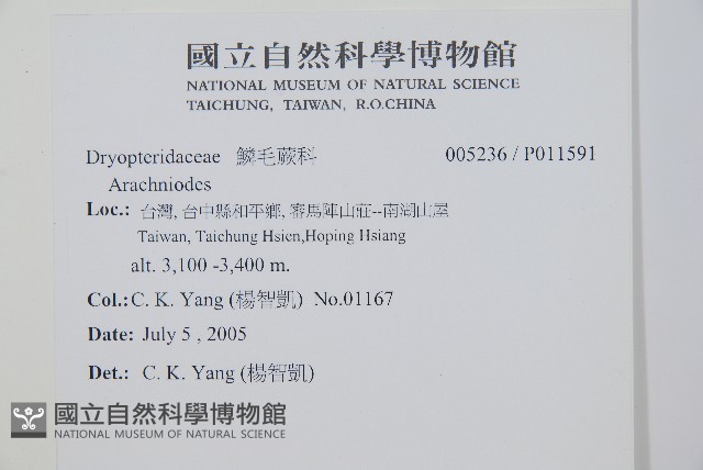 岡本氏岩蕨藏品圖，第2張
