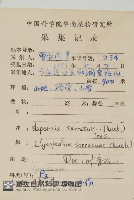 千層塔藏品圖，第2張