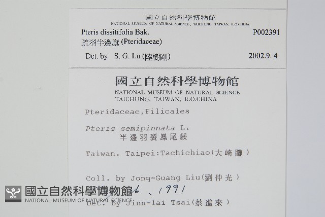 疏羽半邊旗藏品圖，第2張