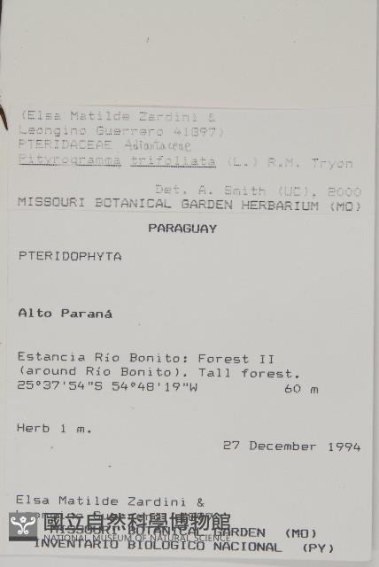 Accession Number:P008491 Collection Image, Figure 2, Total 5 Figures