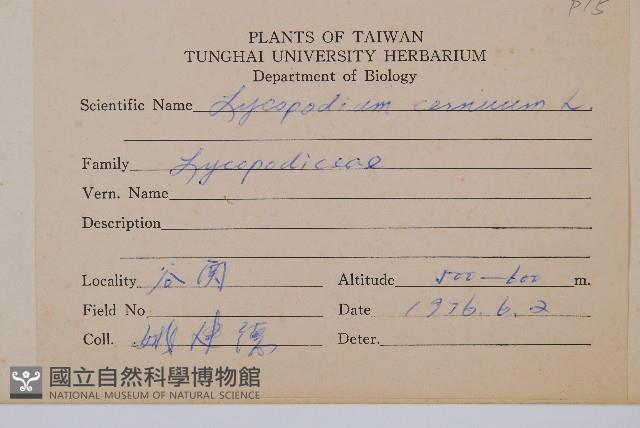 過山龍藏品圖，第2張