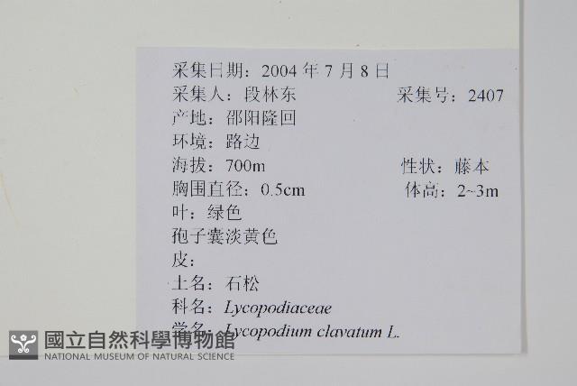 石松藏品圖，第2張