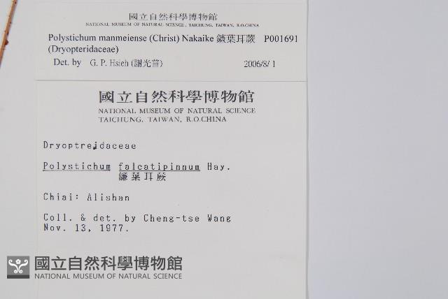 Accession Number:P001691 Collection Image, Figure 2, Total 2 Figures