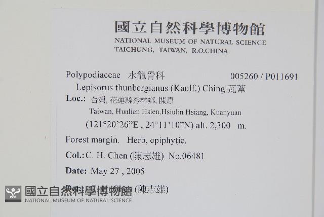 瓦葦藏品圖，第2張